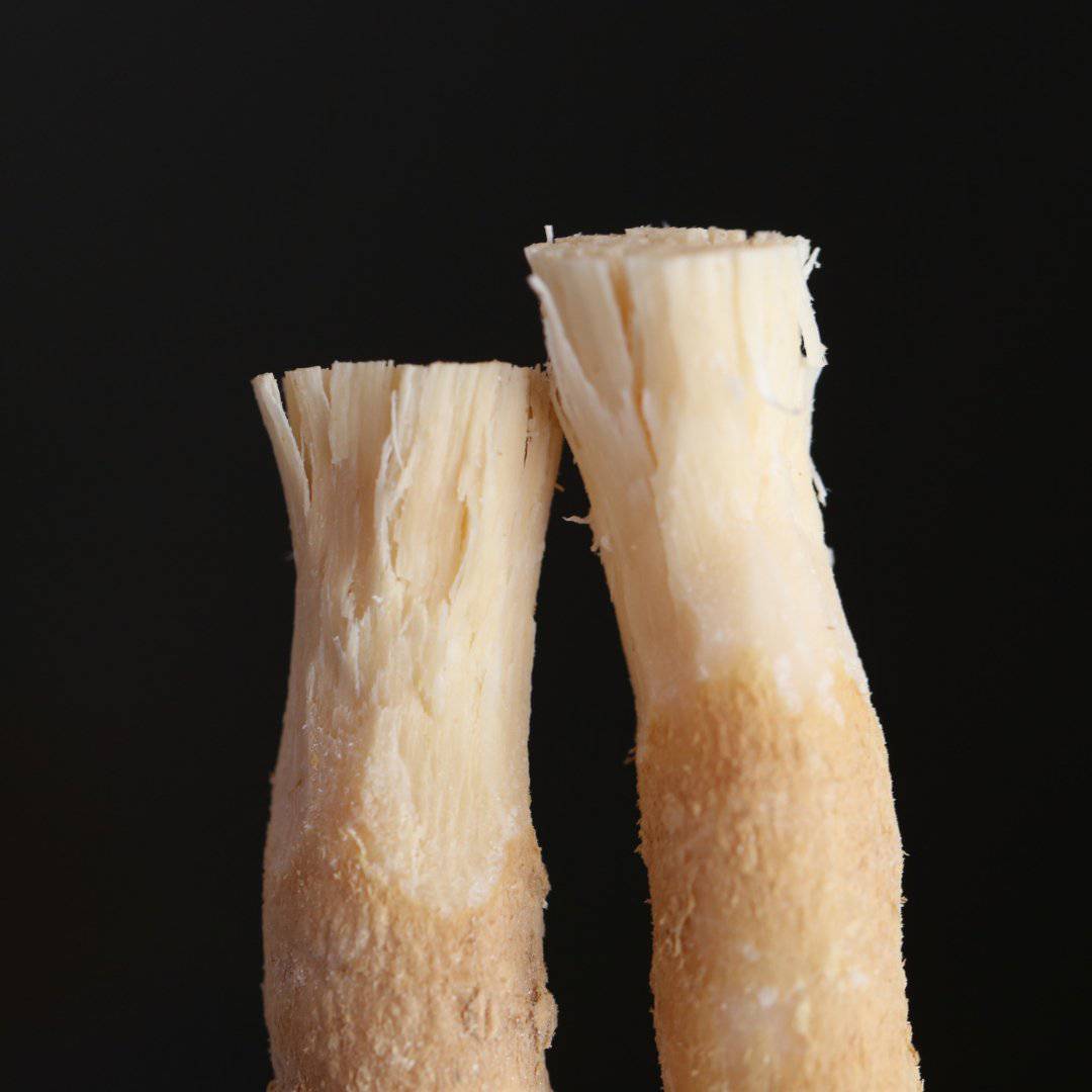 Miswak/Siwak Natural Toothbrush | 100% Natural | Fights Gum Disease | Promotes Cleanliness | Natural Toothbrush | - HalalWorldDepot