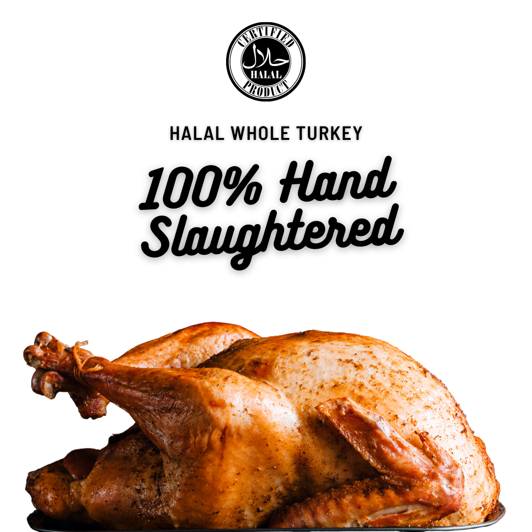 Halal Hand Slaughtered Whole Turkey 10-16lbs | Feeds 13-16 Guests |